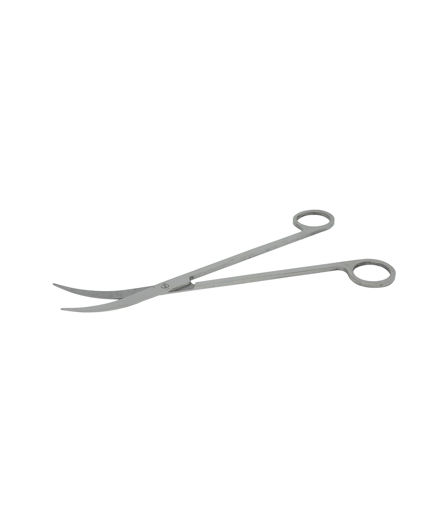Stainless Scissors Curved, 25cm