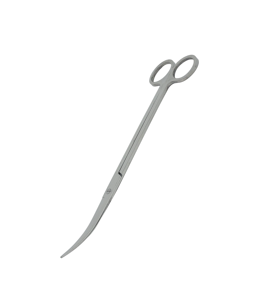 Stainless Scissors Curved, 25cm – Glosso Factory