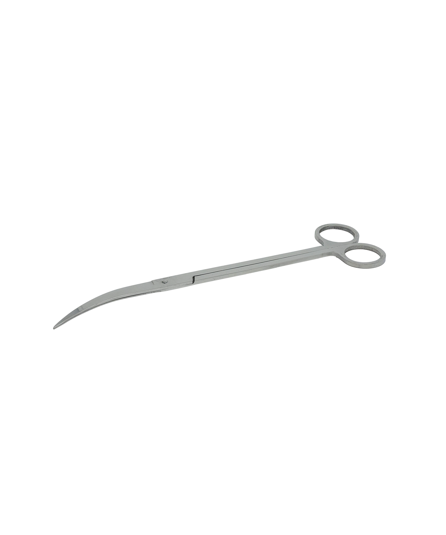 Stainless Scissors Curved, 25cm